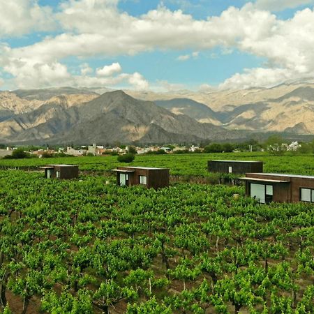 El Porvenir Wine Lodge Cafayate Exteriör bild