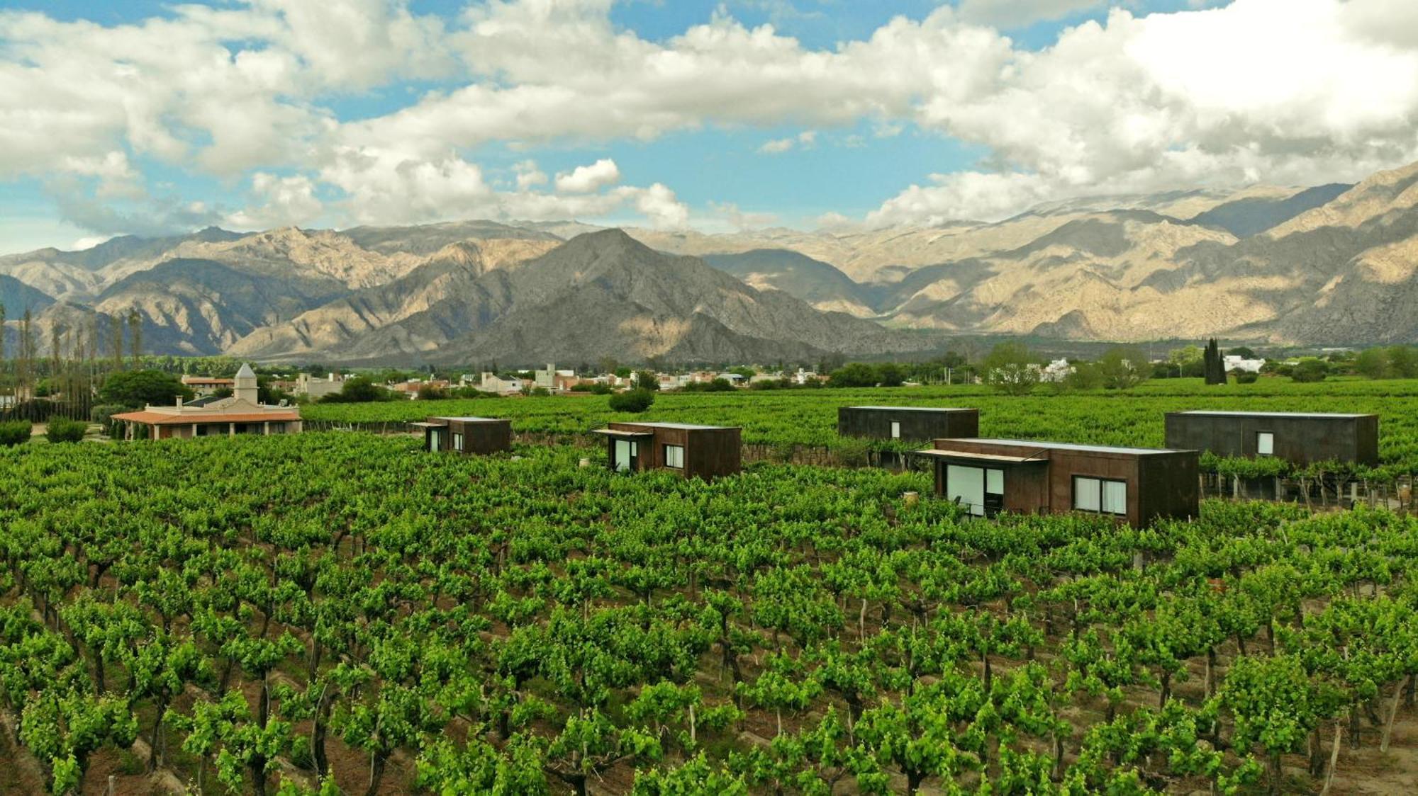 El Porvenir Wine Lodge Cafayate Exteriör bild