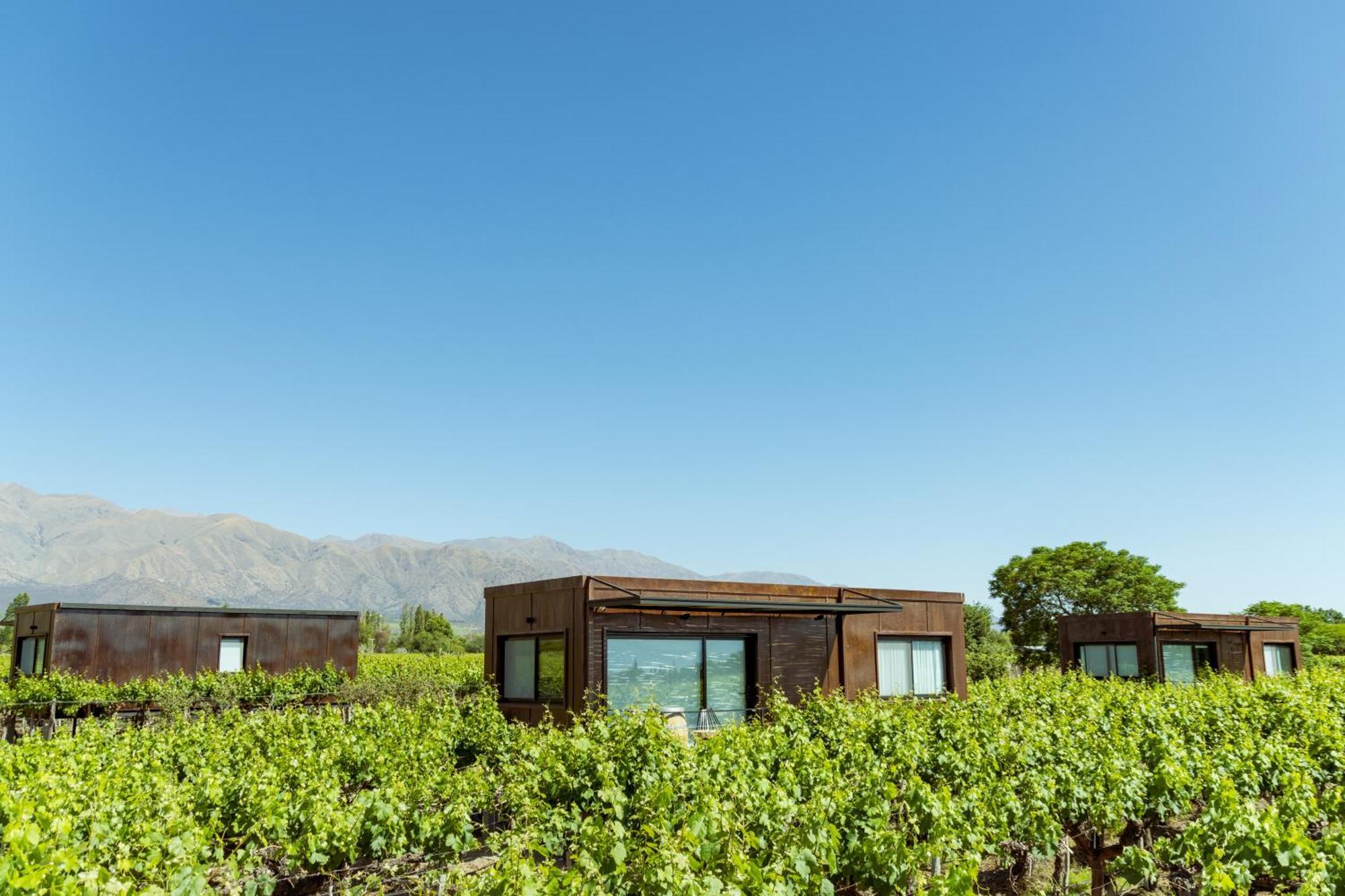 El Porvenir Wine Lodge Cafayate Exteriör bild