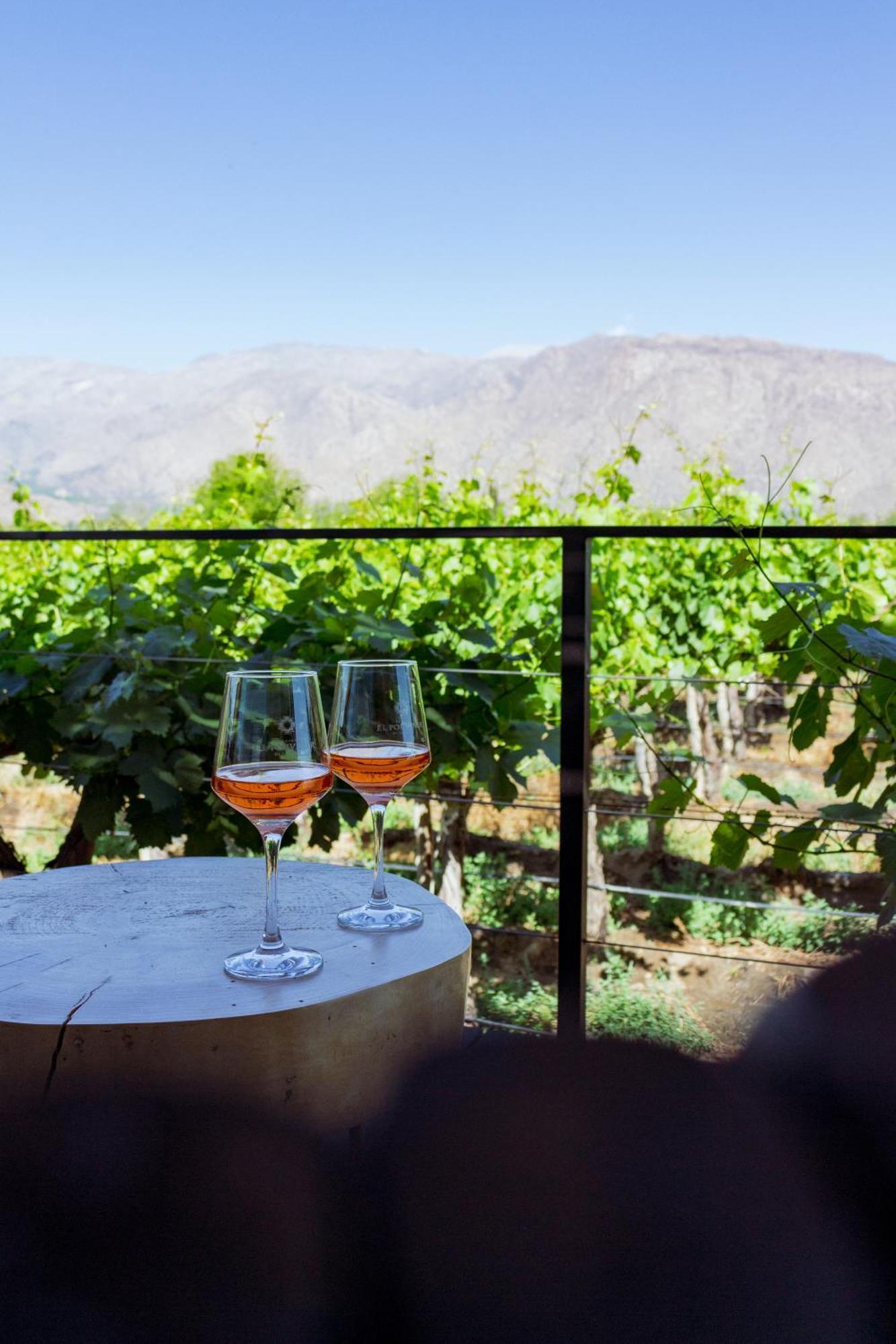 El Porvenir Wine Lodge Cafayate Exteriör bild
