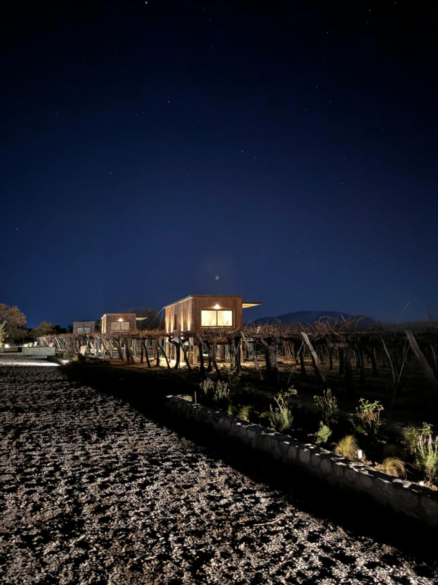 El Porvenir Wine Lodge Cafayate Exteriör bild