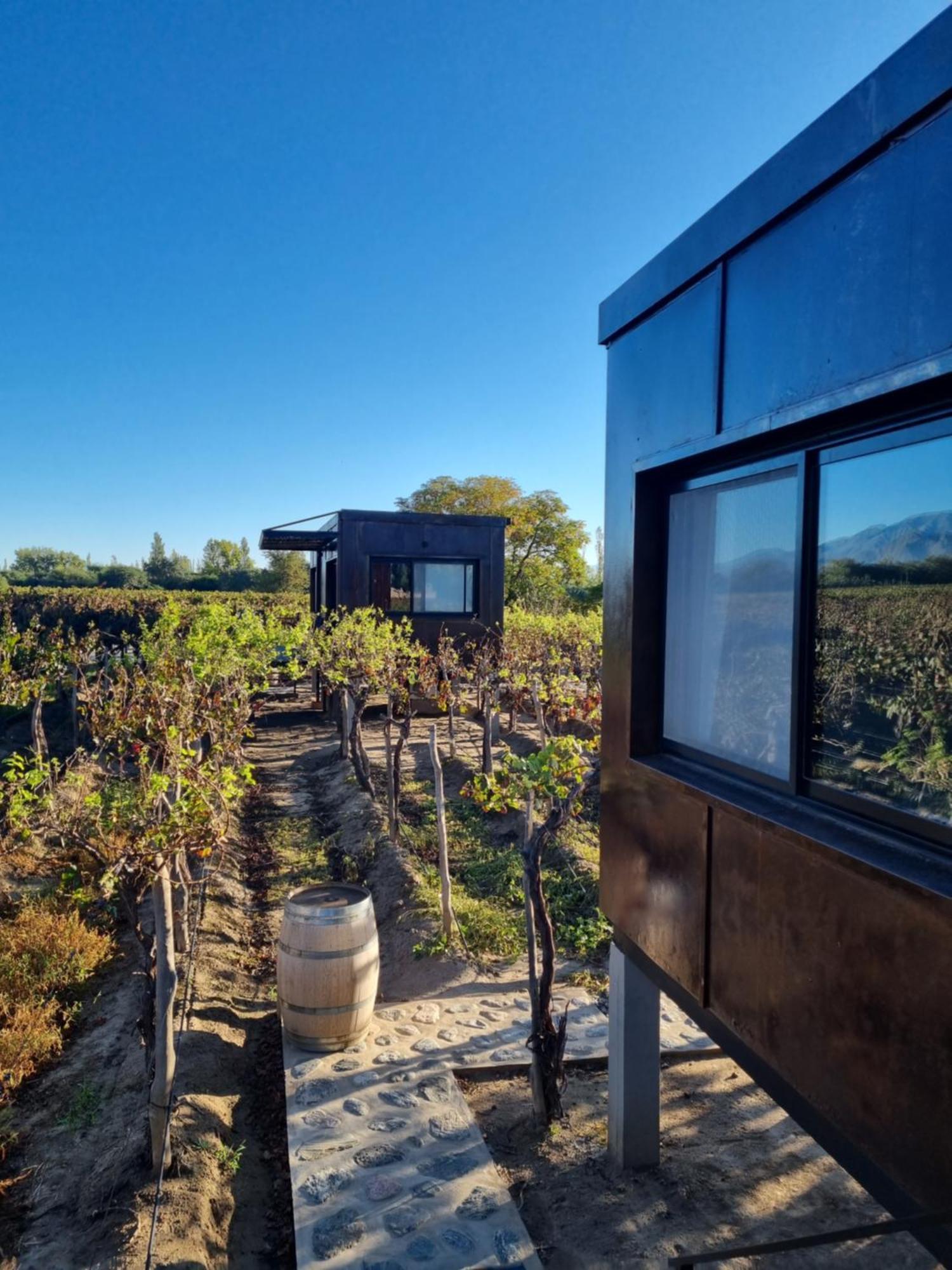 El Porvenir Wine Lodge Cafayate Exteriör bild